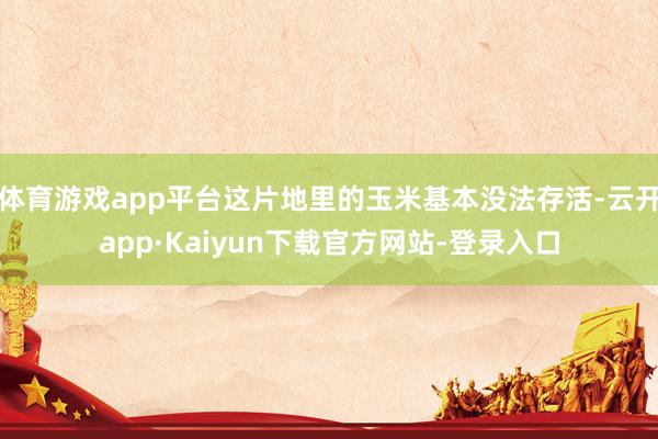 体育游戏app平台这片地里的玉米基本没法存活-云开app·Kaiyun下载官方网站-登录入口