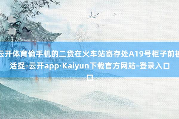 云开体育偷手机的二货在火车站寄存处A19号柜子前被活捉-云开app·Kaiyun下载官方网站-登录入口