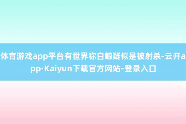 体育游戏app平台有世界称白鲸疑似是被射杀-云开app·Kaiyun下载官方网站-登录入口