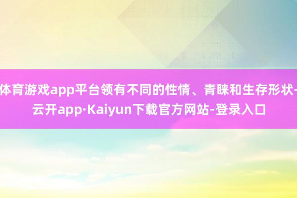 体育游戏app平台领有不同的性情、青睐和生存形状-云开app·Kaiyun下载官方网站-登录入口